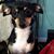 Cynthia Nash Sebring's profile image
