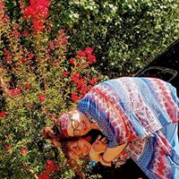 Anita Fortuna's profile image