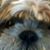 Joyce Hayden's profile image