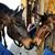 Christine Foor's profile image