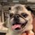 Rob Bailey's profile image