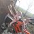 Sandrine Janicki's profile image