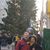 Sandy Ammirato's profile image