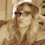 Kim Huszti's profile image
