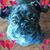 Gayle Hall's profile image
