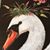 Julie Elders's profile image