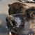 Linda Taylor's profile image