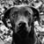 Sarah Pasker's profile image