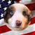 Amy Frances's profile image