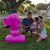 Carlos Cantu's profile image
