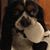 Elisabetta Righi's profile image