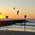 Lynda Landram's profile image
