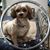 Dave Aluise's profile image