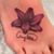 Amanda Newhouse's profile image