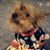 Carolyn Langley-Roggensee's profile image