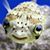 Lynda Baker's profile image