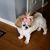 Joyce Delorenzo-Leopaldi's profile image