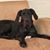 Vicki Lott Rohan's profile image