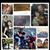 Jaimie Elise Wren's profile image