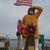 Amy Reed's profile image
