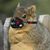 Sheila Elwin's profile image