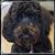 Lisa Kast Robinson's profile image