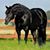 Jorge Hache's profile image