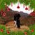Mike Christina Crabbe's profile image