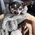 Cathy Woodbury's profile image