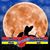 Donna Meyer's profile image