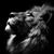 Tzharagat Gatti's profile image