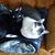 Joyce Reaser's profile image