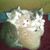 Debbie Sherrell's profile image