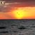 Pamela S. Geers's profile image