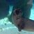 Bronshae J Colvert's profile image