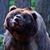 Jim Butzberger's profile image