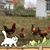Jennifer A Fryza's profile image