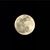 LeAnne Jennings's profile image