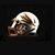 David Fogleman's profile image