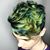 Josh Tjarks's profile image