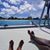 Rhonda K. Jones's profile image