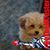 Janis Balzano's profile image