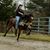 Debra Shantie Duncan's profile image