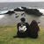 Joseph Beane's profile image