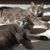 Deb Johnston's profile image