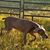 Teri Vogt's profile image