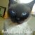 Tammy Bogar's profile image