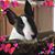 Denise Crumbaker's profile image