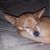 Vanessa Lee's profile image