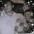 Kristen Gray Matzke's profile image